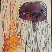 Jellyfish. Un projet de Aquarelle de lara_m_dill - 06.12.2019