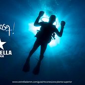 Campaña Estrella Damm y Qbosq Ein Projekt aus dem Bereich Grafikdesign und Marketing von David Muñoz del Sastre - 01.08.2019