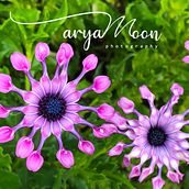 Mi Proyecto del curso: aryaMoon Photography. Fotografia projeto de Mayra P - 08.12.2019