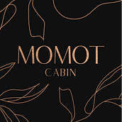 MOMOT CABIN. Br, ing, Identit, Logo Design, and Traditional illustration project by Nowhere Estudio - 12.13.2019