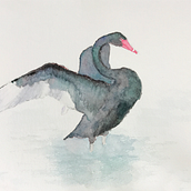 The Ugly Duckling. Traditional illustration project by Amy Shamansky - 12.22.2019