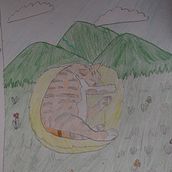 Mi Proyecto del curso: Dibujo de mi gato Ein Projekt aus dem Bereich Bleistiftzeichnung von Gabriel Paredes Aguilar - 30.12.2019