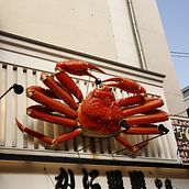 Rincones Japón. Un proyecto de Escenografía, Fotografía artística, Fotografía digital y Fotografía en exteriores de Rebeca Camino - 27.01.2020