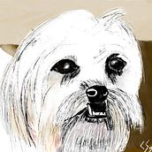 Leo, mi compañero del dibujo. Drawing project by Claudir Segura - 12.30.2019