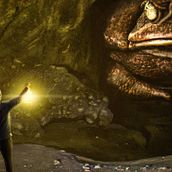 Cave Toad. Photograph, and Photo Retouching project by Guillermo Díaz - 01.03.2020