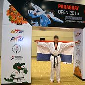 Mundial de Taekwondo Paraguay 2015. Un progetto di Br, ing, Br, identit, Design di poster  e Graphic design di Rub Olan - 05.01.2015
