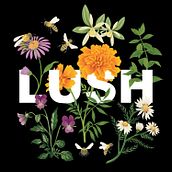 Fotografía publicitaria LUSH. Photograph, Product Photograph, and Commercial Photograph project by Carmen Delgado Cardeñas - 01.08.2018