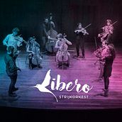 Branding para LIBERO STRIJKORKEST. Br, ing, Identit, and Graphic Design project by Estefanía Sanz Ávila - 04.09.2017