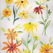 Yellow Flowers. Traditional illustration project by bhtrezevant - 01.09.2020