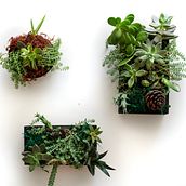 Mi Proyecto del curso: Diseño y creación de composiciones botánicas. Arts, and Crafts project by Karla Fonseca - 01.09.2020