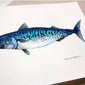 CABALLA - Seafood Collection . % Natuca Requero tarafından hazırlanan Çizim, Geleneksel illüstras, on, Ve Güzel sanatlar projesi - 01.13.2020