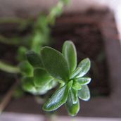 Mi Proyecto del curso: Guía práctica para aprender a manejar tu cámara digital desde cero. Un proyecto de Fotografía de Catalina Cid - 14.01.2020