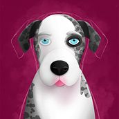 Mi Proyecto del curso: Mi mascota como Ilustración digital en Procreate . % aurabg tarafından hazırlanan Geleneksel illüstras, on, Dijital İllüstras, Ve on projesi - 01.15.2020