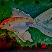Pintura de Golden fish, en acuarela.. Watercolor Painting project by Erwin Danilo Cárcamo López - 01.21.2020