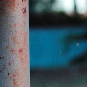 Mi Proyecto del curso: Introducción a la fotografía digital Ein Projekt aus dem Bereich Artistische Fotografie von Ivan Rangel - 22.01.2020