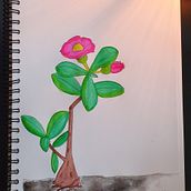 Mi Proyecto del curso: Dibujo para principiantes nivel -1. Fine Arts project by Iinda Irizarry - 01.23.2020