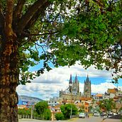 Mi Proyecto: Lo simple es maravilloso!. Un progetto di Fotografia all'aperto di englishsolutionsbm - 25.01.2020