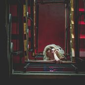 La Nueva Ola. Photograph, Fashion Photograph, Portrait Photograph, Digital Photograph, Outdoor Photograph & Instagram Photograph project by José Javier Hernández Nacif - 09.28.2019