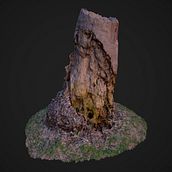 Mi Proyecto del curso: Tocón + Roca. 3D project by Francisco José Ibanco Sánchez - 01.27.2020