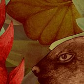 BESTIA Ein Projekt aus dem Bereich Traditionelle Illustration von Mariana Castellanos - 23.01.2020