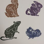 Mi Proyecto del curso: Colección de roedores. Traditional illustration project by laurasanchez96lopez - 01.27.2020