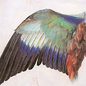 EL NATURALISTA. Un projet de Beaux Arts de Lola BURDALLO MOYA - 27.01.2020