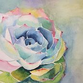 Treinamento em Aquarela. Watercolor Painting project by Sonia Bueno Affonso - 01.28.2020