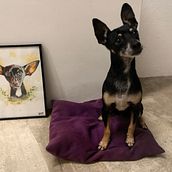 Pet Portraits Watercolor. Traditional illustration project by Estefania Gomez - 01.30.2020