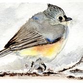 My course project : experimental watercolor techniques for beginners Ein Projekt aus dem Bereich Aquarellmalerei von laurence_quervel - 01.02.2020