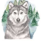 Portfolio Artmayare. Traditional illustration project by Anna Maya - 02.01.2020