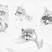 Inktober 2019. Un proyecto de Ilustración tradicional de Javiera Peters - 01.02.2020