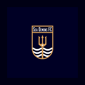 Sea Demons Fc - Final Project. Br, ing & Identit project by igordpaula21 - 02.02.2020