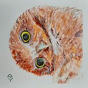 Mi Proyecto del curso: Técnicas experimentales de acuarela para principiantes . Watercolor Painting project by Yanuly Sanson - 02.02.2020