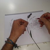 ISOLOGOTPO: ALMA de BRUJA. Een project van  Tekening, Tekening met potlood, Logo-ontwerp y Grafisch ontwerp van Juan Bautista Baillinou - 13.07.2019