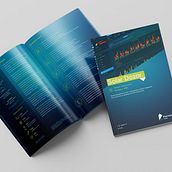 Solar Dozor. Design, and Graphic Design project by Irina Lifintseva - 02.05.2020