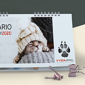 Calendario de mesa. Editorial Design, and Graphic Design project by KRIS MARTIN - 12.12.2019