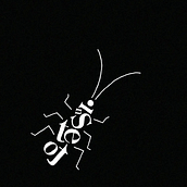 The Metamorphosis. 2D Animation, Concept Art, Creativit, Design, Digital Design, Graphic Design, T, pograph, Design, Video Editing, Motion Graphics, Stor, and telling project by Emma Carrillo - 01.15.2020