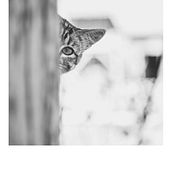 Mundo interior. Un progetto di Fotografia artistica di Fernando Castellanos - 07.03.2015