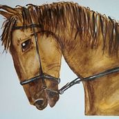 Proyecto de fin de curso: Cabeza de caballo. Traditional illustration project by Beatriz Collado - 02.12.2020