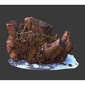 Mi Proyecto del curso: Introducción a la fotogrametría 3D. Projekt z dziedziny Animacje 3D użytkownika Juan Angel Sarrion Frias - 09.02.2020