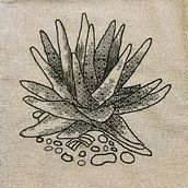 Mi Proyecto del curso: Introducción al bordado en blackwork . Bordir proyek oleh Gabriela Farías Islas - 02.09.2020