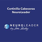 Cortinilla Animación Neuroleader. Projekt z dziedziny Animacje 2D,  Manager art, st, czn, Design i Projektowanie graficzne użytkownika Carlos Pérez de Felipe - 11.02.2020