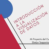 Mi Proyecto del curso: Introducción a la visualización de datos. Information Design, and Marketing project by Ebelyn Estefanía Toapanta Ulcuango - 02.12.2020