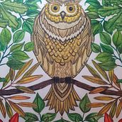 Colores. Projekt z dziedziny Trad, c i jna ilustracja użytkownika Mariauxi - 16.02.2020
