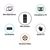 app UI . Interactive Design, Mobile Design, and UX / UI project by Patric¡a Igles¡as - 02.03.2020