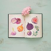 Mi Proyecto del curso: Ilustración de un diario naturalista. Un progetto di Illustrazione tradizionale, Illustrazione botanica e Pittura ad acquerello di cindyluv - 18.02.2020