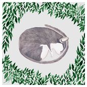 Aletargado. Un proyecto de Ilustración tradicional de María León - 01.02.2020