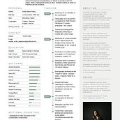CV. Een project van  Ontwerp van Sofia Martin Perez - 21.02.2020