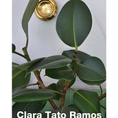 de día Ein Projekt aus dem Bereich Fotografie, Artistische Fotografie und Digitalfotografie von Clara Tato - 29.02.2020