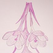 Mi Proyecto del curso: Técnicas modernas de acuarela. Un proyecto de Bellas Artes de Gloria Cisa Molins - 02.03.2020
